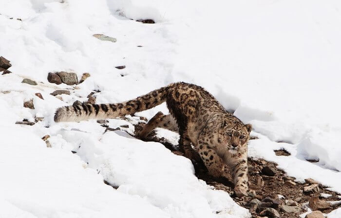 chiem nguong ve dep kho tin cua vung dat kashmir