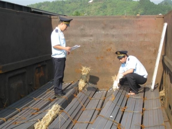 Phải giám định mặt hàng thép tại đơn vị được bộ quản lý chuyên ngành chỉ định