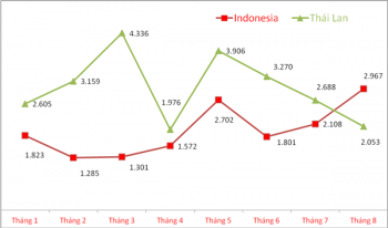 Nhập gần 3.000 xe một tháng, ô tô xuất xứ Indonesia vượt Thái Lan