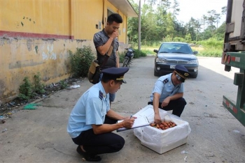 Tìm đường đi cho quả chanh leo của Việt Nam XK sang thị trường Trung Quốc