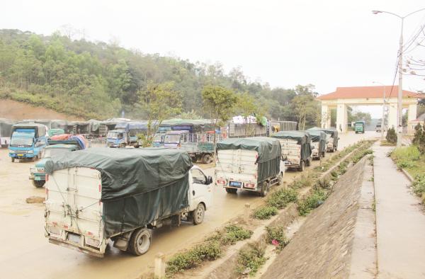 can quy hoach cua khau phu na hinh de tao thuan loi thuong mai