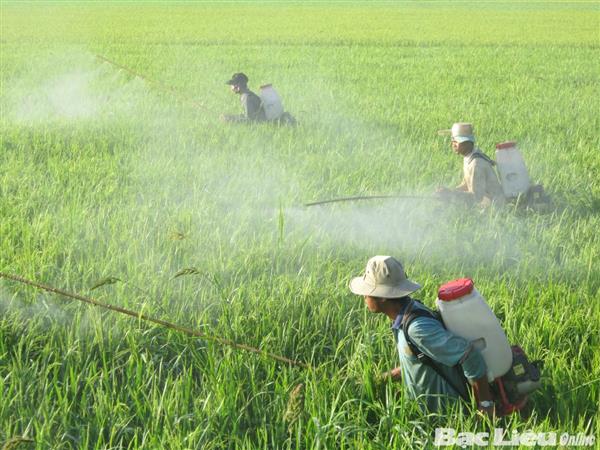 mot cay lua thua hang nghin loai thuoc bao ve thuc vat