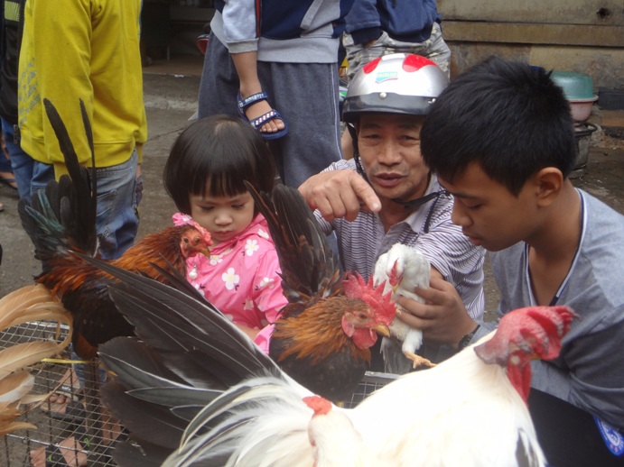 doc dao cho phien giua long ha noi