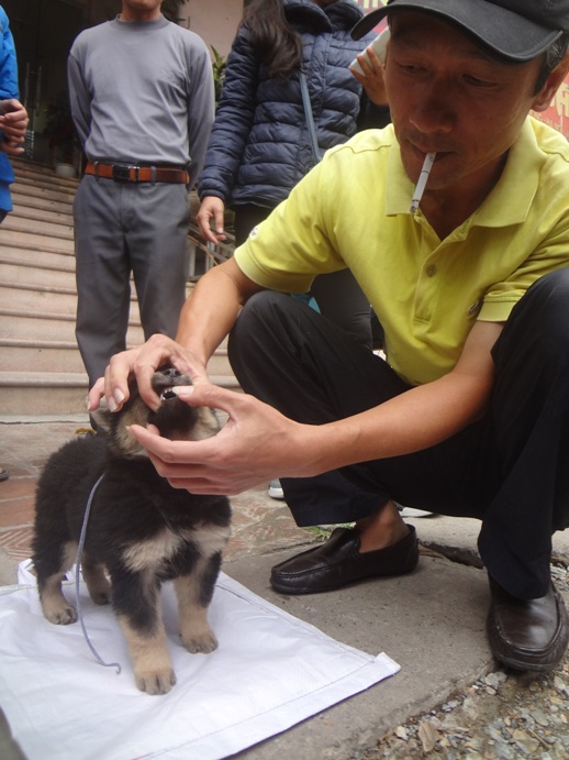 doc dao cho phien giua long ha noi