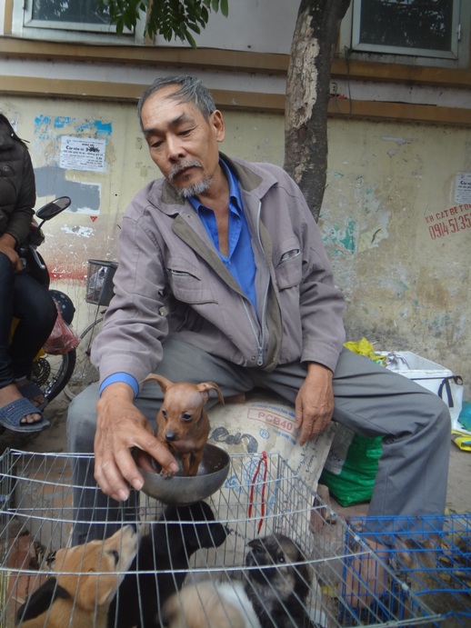 doc dao cho phien giua long ha noi