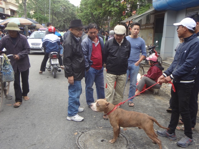 doc dao cho phien giua long ha noi