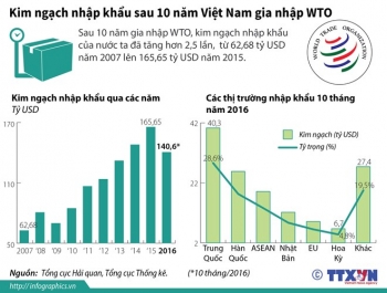 [Infographics] Kim ngạch nhập khẩu sau 10 năm Việt Nam gia nhập WTO