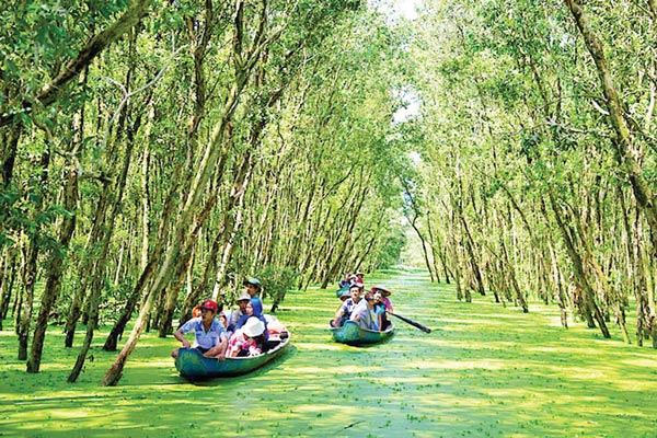 Tour du lịch Tết rục rịch vào mùa