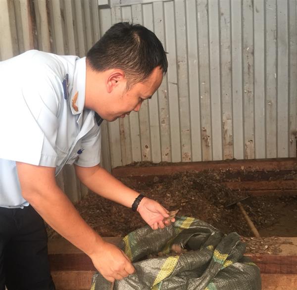 bat lo vay te te lo ca san pham nghi rang su tu va da bao