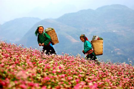 nhieu khuyen mai tour du lich tet