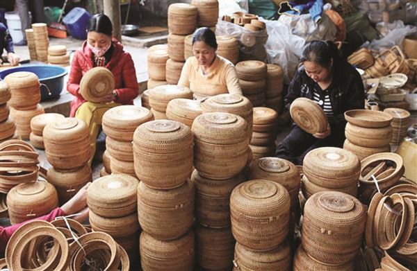 xuat khau may tre dan chat vat nguon nguyen lieu