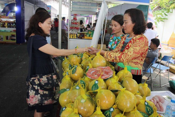 tphcm ket noi cung cau huong den xuat khau