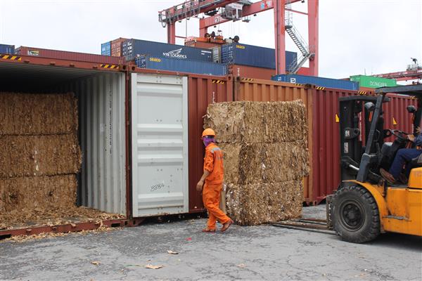 tiep tuc huong dan ve thu tuc nhap khau phe lieu