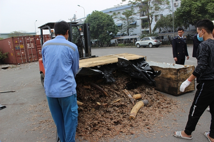 can canh hon 2 tan nga voi vay te te bi bat giu tai cang hai phong