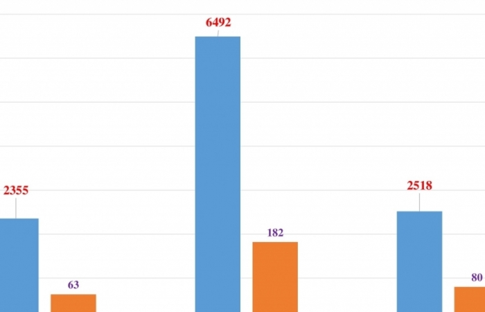 Chỉ hơn 2.500 ô tô ngoại lăn bánh về Việt Nam trong 15 ngày đầu năm