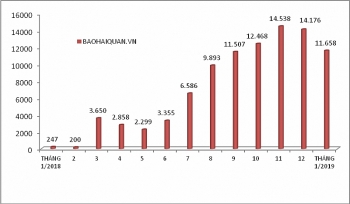 Gần 12.000 ô tô đổ về trong tháng 1 tăng 47 lần cùng kỳ