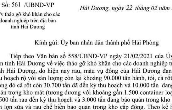 Hải Dương tiếp tục đề nghị Hải Phòng hỗ trợ để xuất khẩu 90.000 tấn rau củ