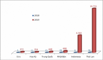 Ô tô nhập từ Đức, Nhật Bản, Hoa Kỳ khởi sắc