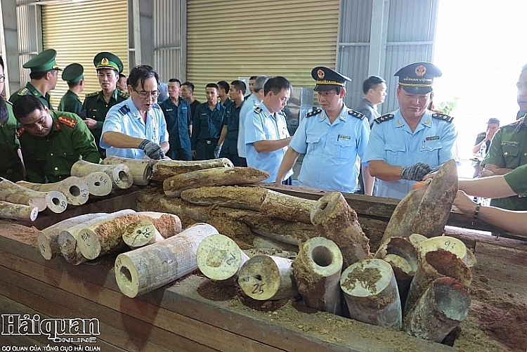 vu bat nga voi o da nang lon nhat tu truoc den nay