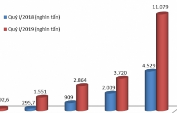 Nhập khẩu than đá tăng chóng mặt hơn 6,55 triệu tấn