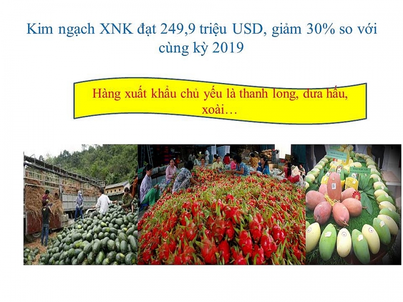 infographics ngam dich covid 19 thu ngan sach kim ngach xuat nhap khau cua hai quan lao cai giam manh