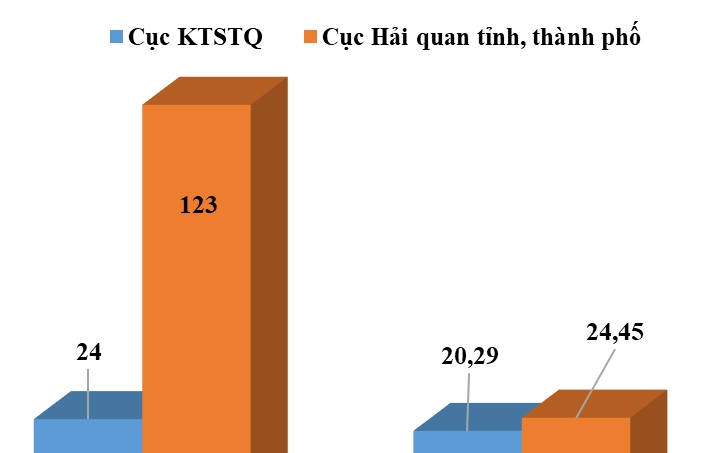 Giao hải quan địa phương kiểm tra sau thông quan 202 doanh nghiệp theo 7 chuyên đề