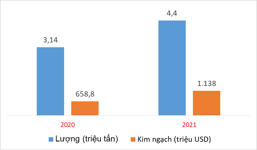 Chi hơn tỷ USD nhập khẩu 4,4 triệu tấn ngô