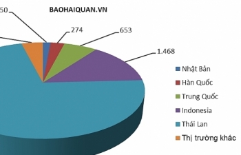 Gần 100% ô tô con nhập khẩu về cảng Hải Phòng và TPHCM trong tháng 6