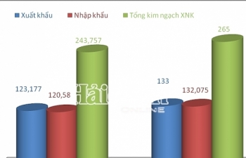 Bất ngờ nhập siêu gần 700 triệu USD nửa đầu tháng 7