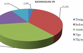 Than đá nhập khẩu tăng chóng mặt gần 12 triệu tấn