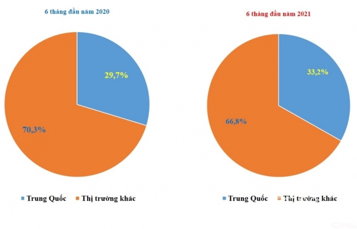 Việt Nam chi gần 160 tỷ USD nhập khẩu hàng hóa, Trung Quốc chiếm 1/3