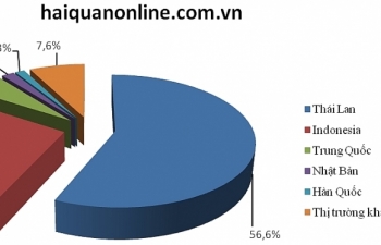 Ô tô chủ yếu nhập khẩu qua cảng Hải Phòng và TPHCM