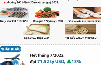 Infographics: Hơn 100 tỷ USD kim ngạch xuất nhập khẩu Việt Nam- Trung Quốc sau 7 tháng