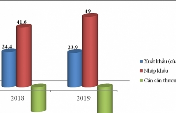 Chi 49 tỷ USD nhập khẩu hàng Trung Quốc, tăng hơn 7 tỷ so với 2018