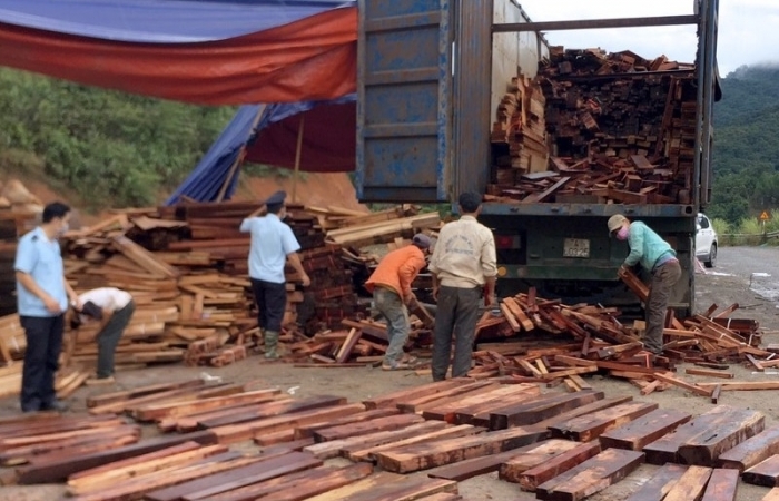 Hình ảnh lô gỗ lậu, đá quý trị giá hàng chục tỷ vừa được bắt giữ tại cửa khẩu La Lay, Quảng Trị