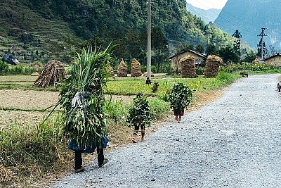 sang tuoi vung cao tu von tin dung chinh sach