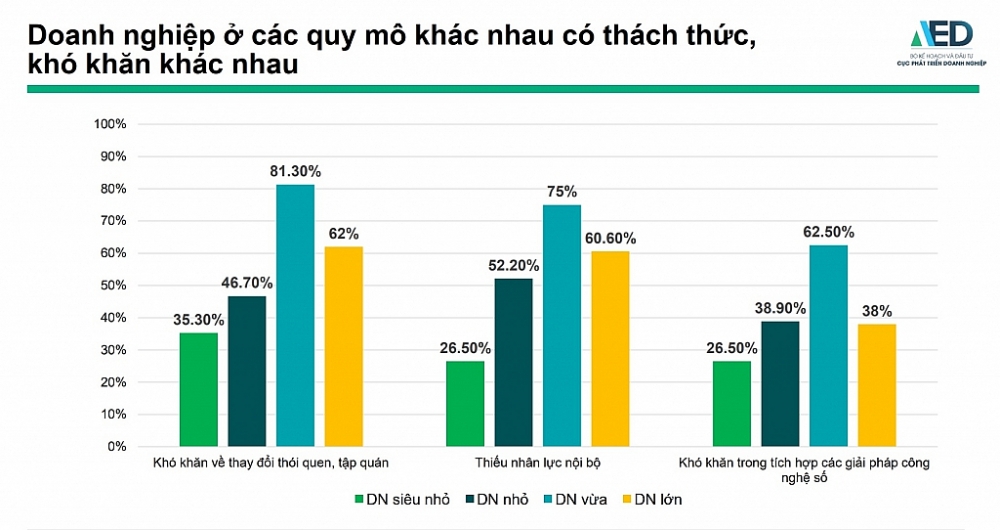 Doanh nghiệp quy mô khác nhau có những khó khăn khác nhau. Nguồn: Bộ Kế hoạch và Đầu tư