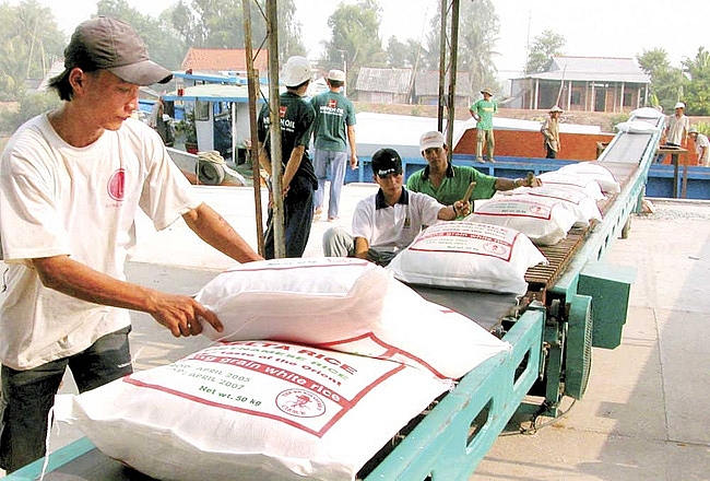 thu tuong quyet dinh xuat cap 1000 tan gao ho tro nhan dan vung lu