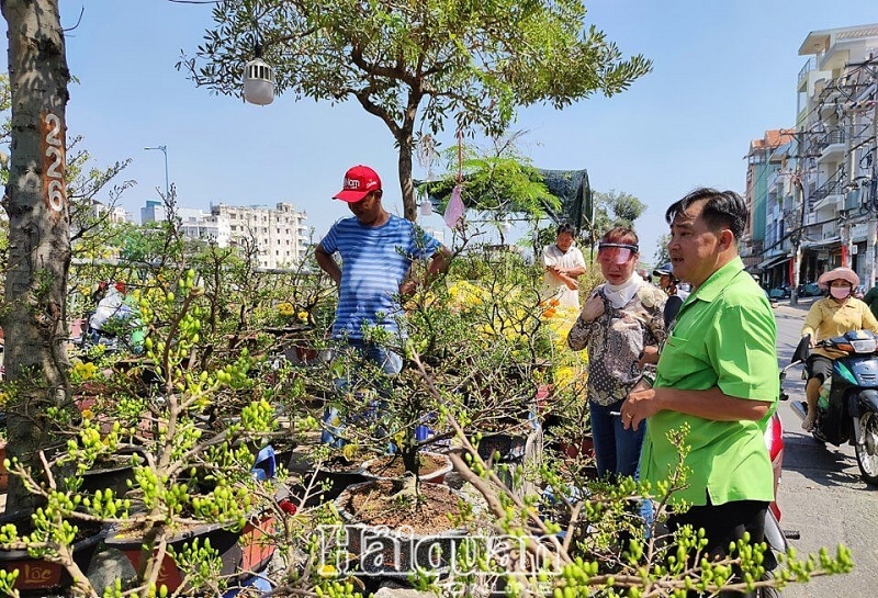 tphcm cho hoa nhon nhip nhung ngay cuoi nam