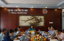 hai quan tay ninh go nhieu vuong mac ve che xuat san xuat xuat khau