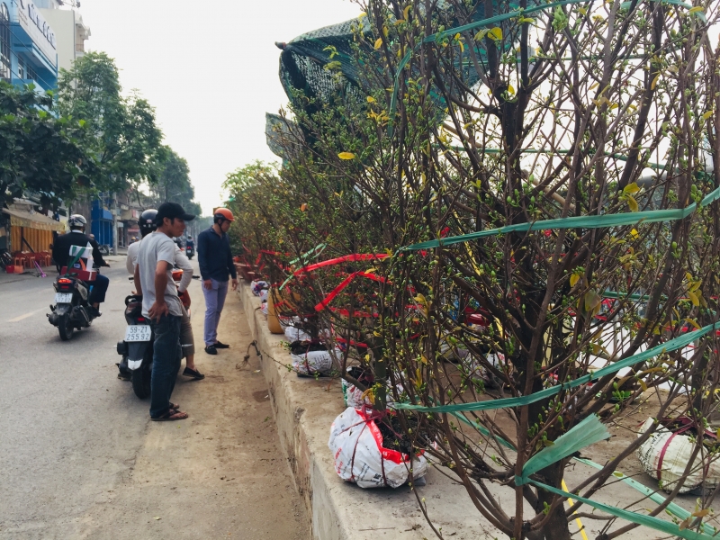 sac xuan tren ben binh dong