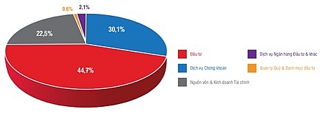 Cơ cấu doanh thu hợp nhất năm 2020 của SSI