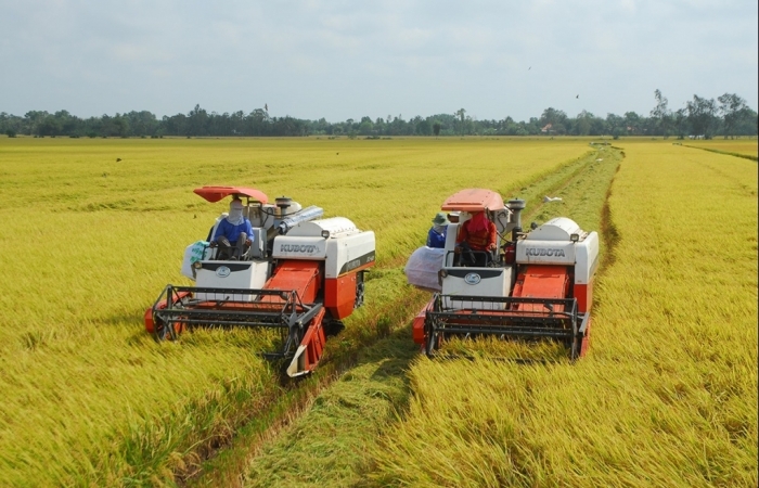 Nông nghiệp cố gắng vượt qua khó khăn chưa từng có