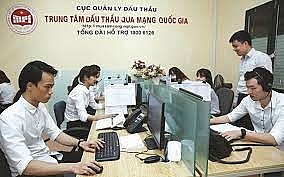 adb va wb day manh ap dung dau thau qua mang tai viet nam