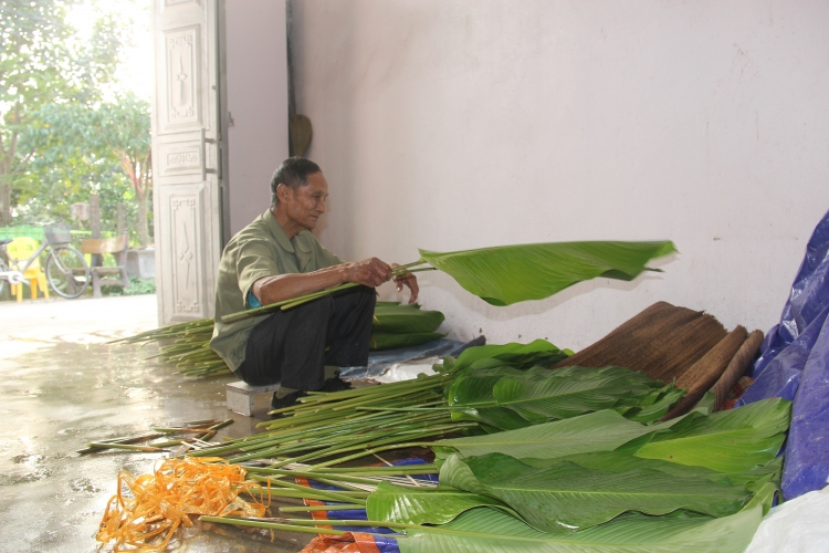 lang la dong trang cat hoi ha thu hoach phuc vu tet