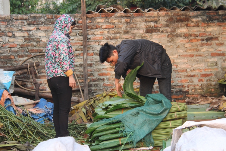 lang la dong trang cat hoi ha thu hoach phuc vu tet