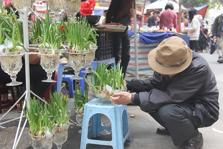 ve cho hoa hang luoc de hoai niem tet xua