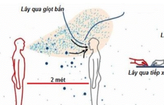 Bộ Y tế khuyến cáo Covid-19 có thể lây sang vật nuôi