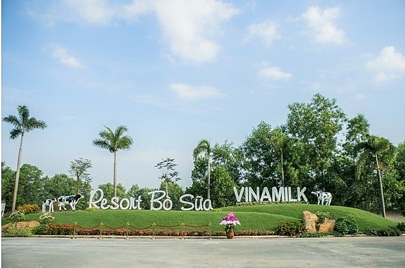 check in tai resort bo sua sieu dep cua vinamilk tay ninh