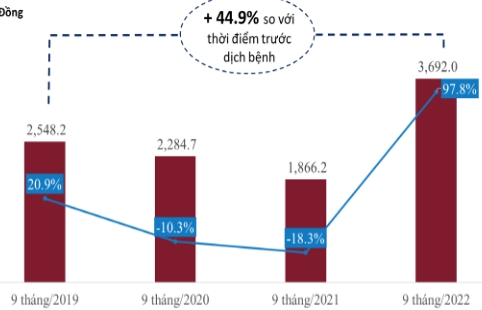 Doanh thu mảng thời trang của IPPG tăng kỷ lục